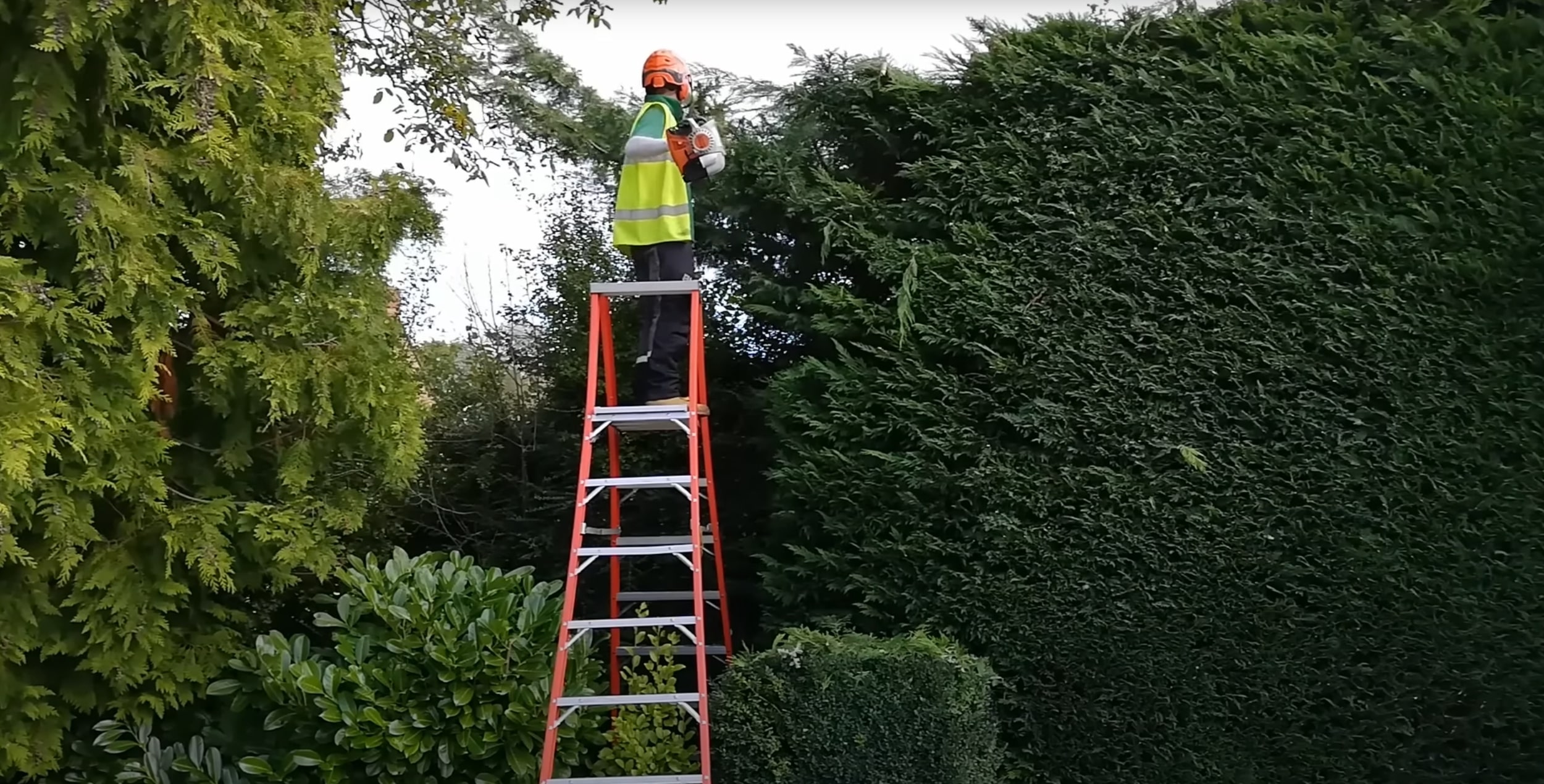 Seasonal tree trimming and pruning services in Napa, CA