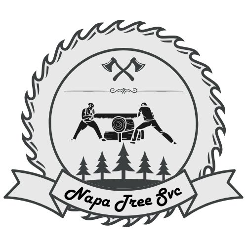 PineCrew Napa Tree Services Logo